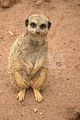 leipzig zoo-01_07_2011_zoo_allgemein_302